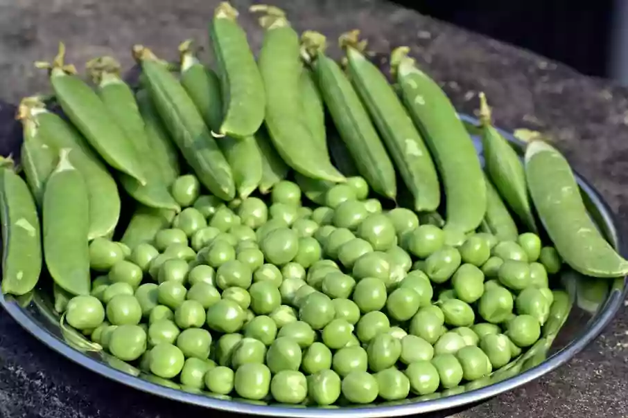Matar / Green Peas
